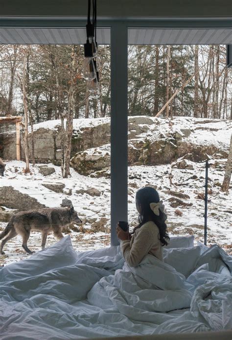 parc omega sleep with wolves